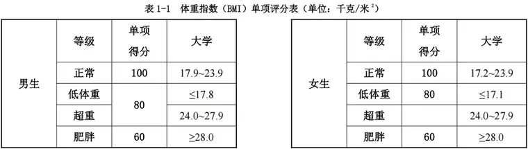 各项目评分标准