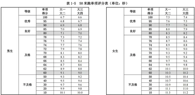 各项目评分标准