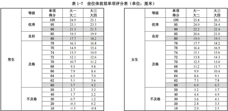 各项目评分标准
