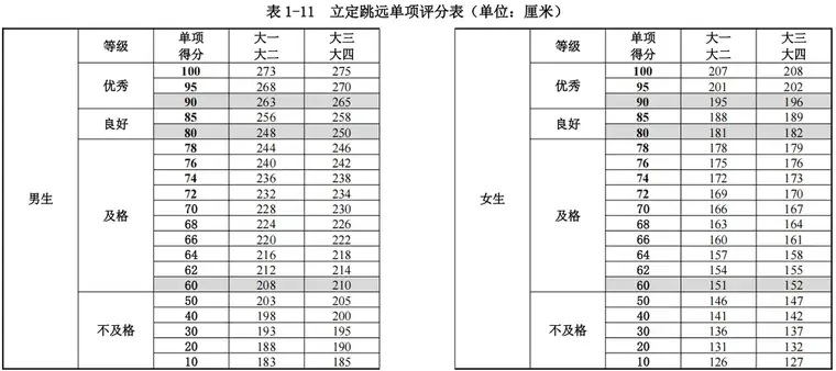 各项目评分标准